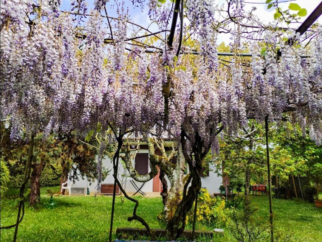Casetta In Collina Sezze Екстер'єр фото